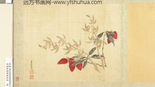 清黄钺画群蕤藻夏册 画荔枝香蕙 2.jpg