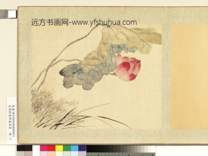 清黄钺画群蕤藻夏册 画荷芦 2.jpg