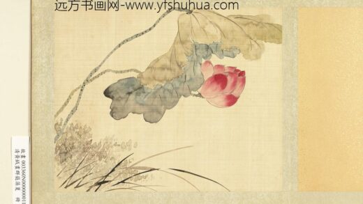 清黄钺画群蕤藻夏册 画荷芦 2.jpg