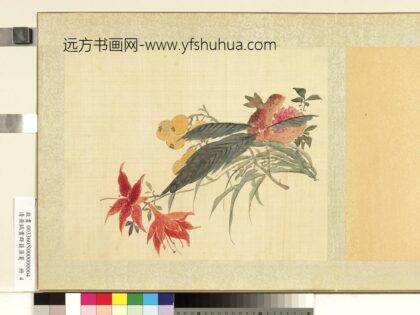 清黄钺画群蕤藻夏册 画萱榴枇杷 2.jpg