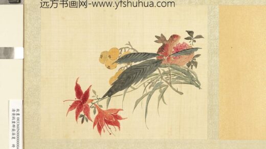 清黄钺画群蕤藻夏册 画萱榴枇杷 2.jpg