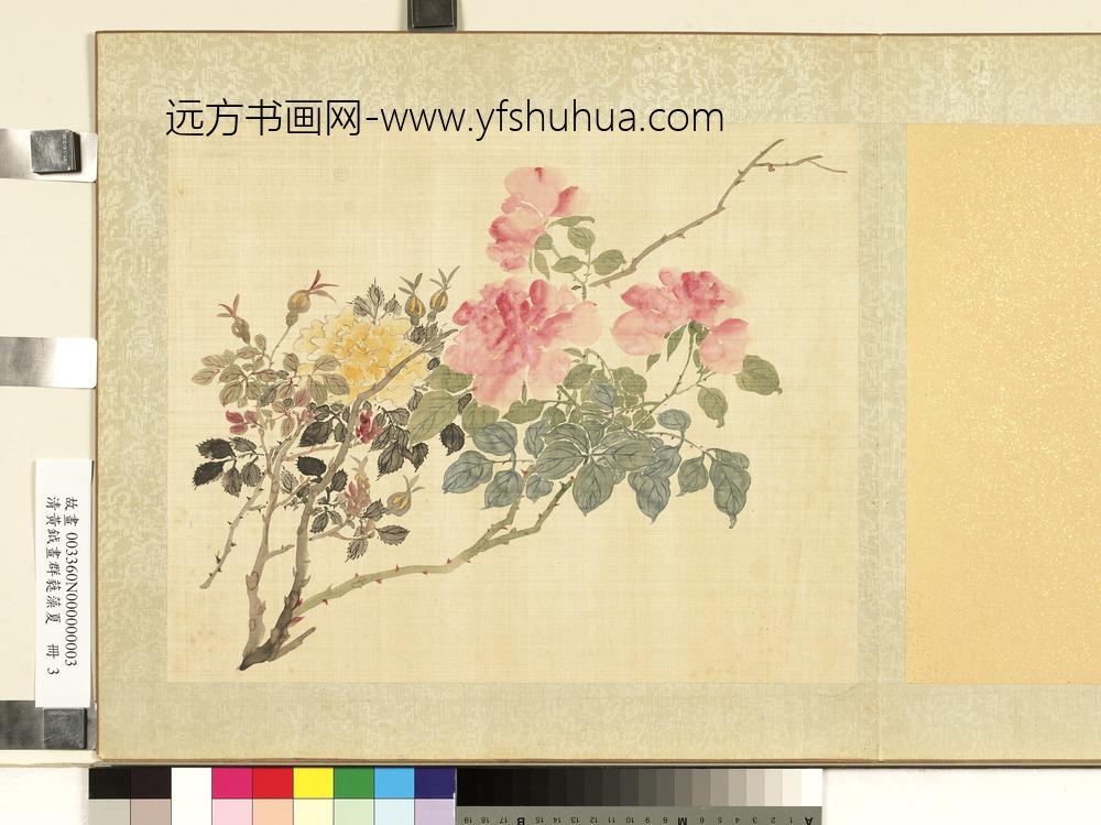 清黄钺画群蕤藻夏册-画蔷薇-