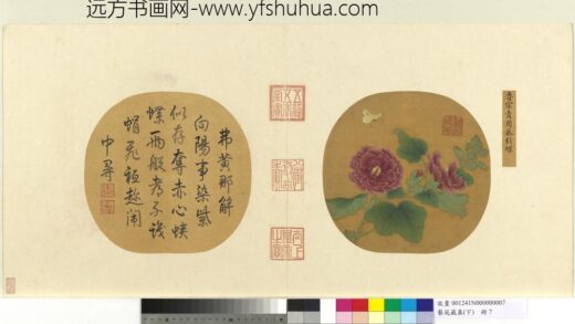 艺苑藏真（下）册宋鲁宗贵蜀葵引蝶 1.jpg