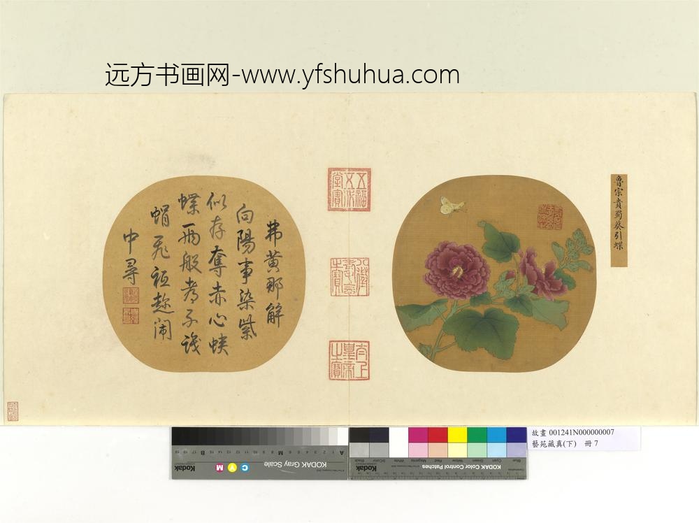 艺苑藏真（下）册宋鲁宗贵蜀葵引蝶-