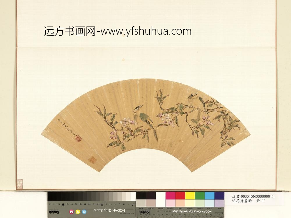 花卉画册-明陈懿白头海棠