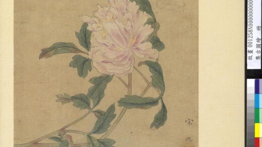 集古图绘册 宋宋迪画牡丹.jpg