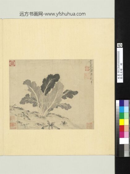 顾瑛历代名绘册 蔬菜.jpg