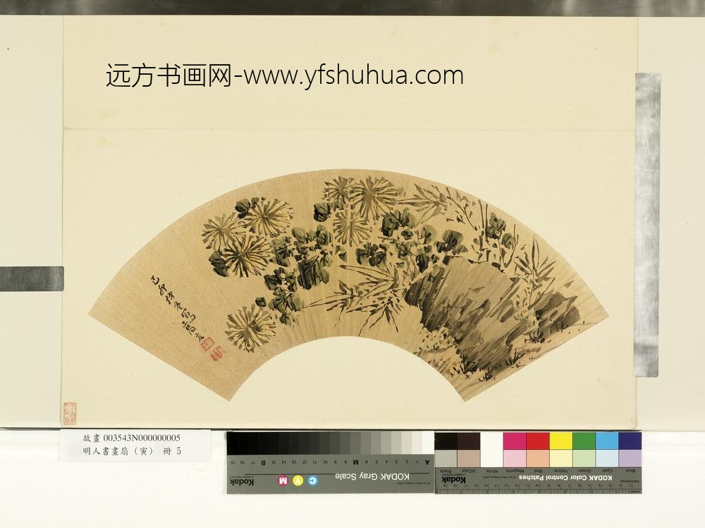 高友-明人书画扇(寅)册-明高友竹菊图-台北故宫博物院