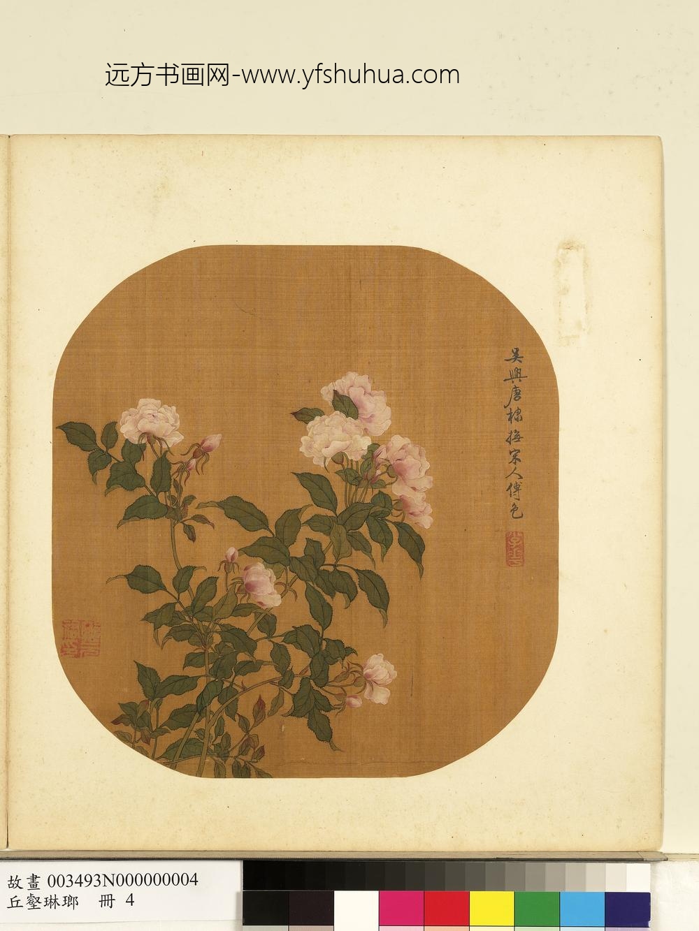 丘壑琳琅册-元唐棣画月季