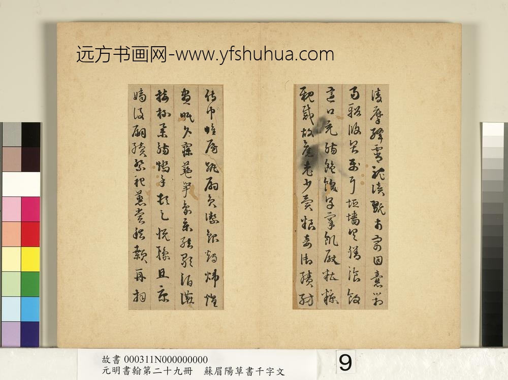 元明书翰第二十九册册-苏眉阳草书千字文-