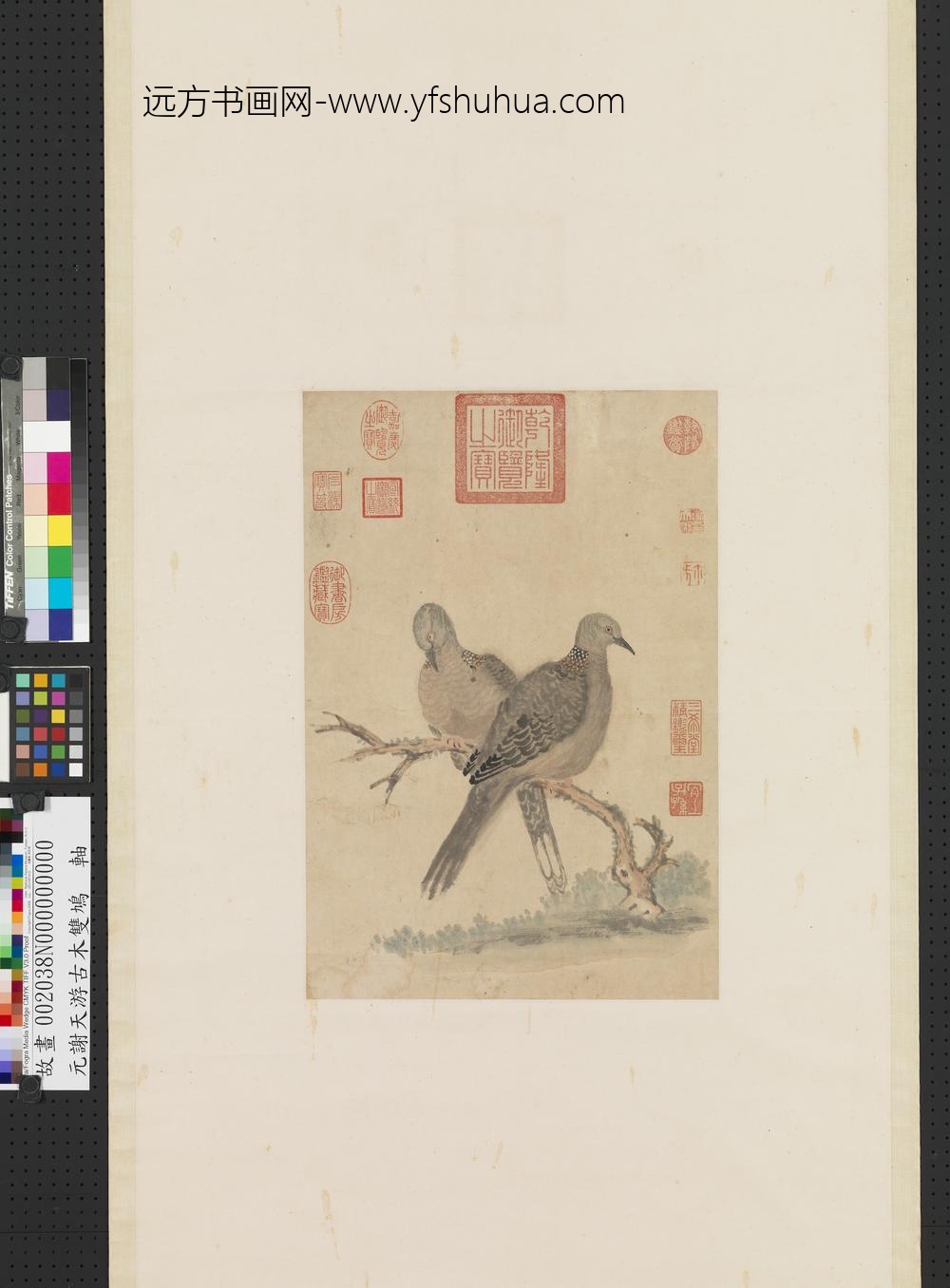 元谢天游古木双鸠轴-