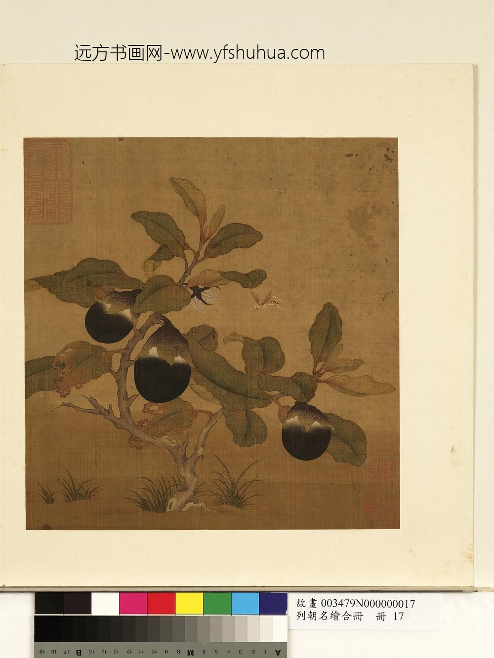 列朝名绘合册册-无款设色画茄