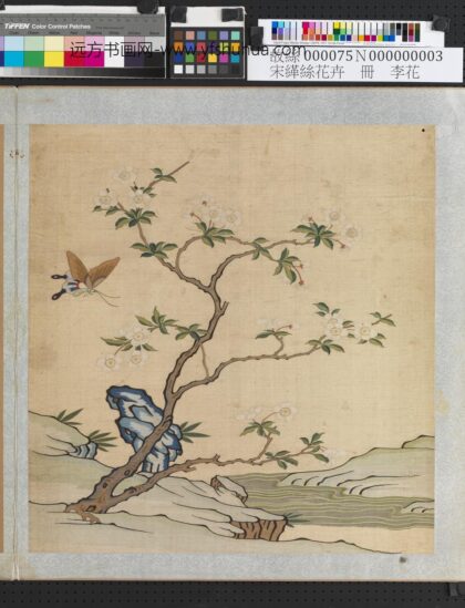 刻丝花卉册 李花.jpg