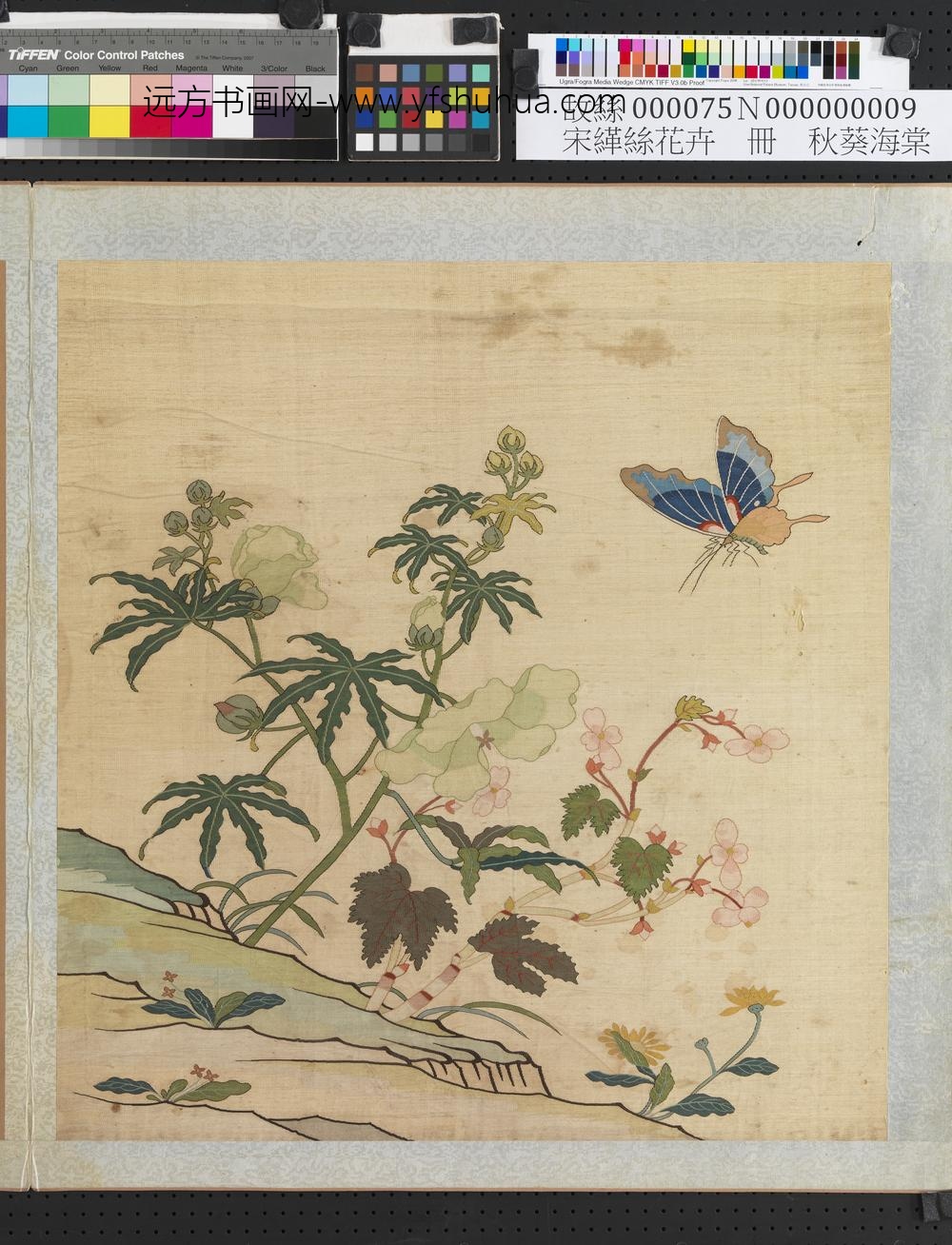 刻丝花卉册-秋葵海棠