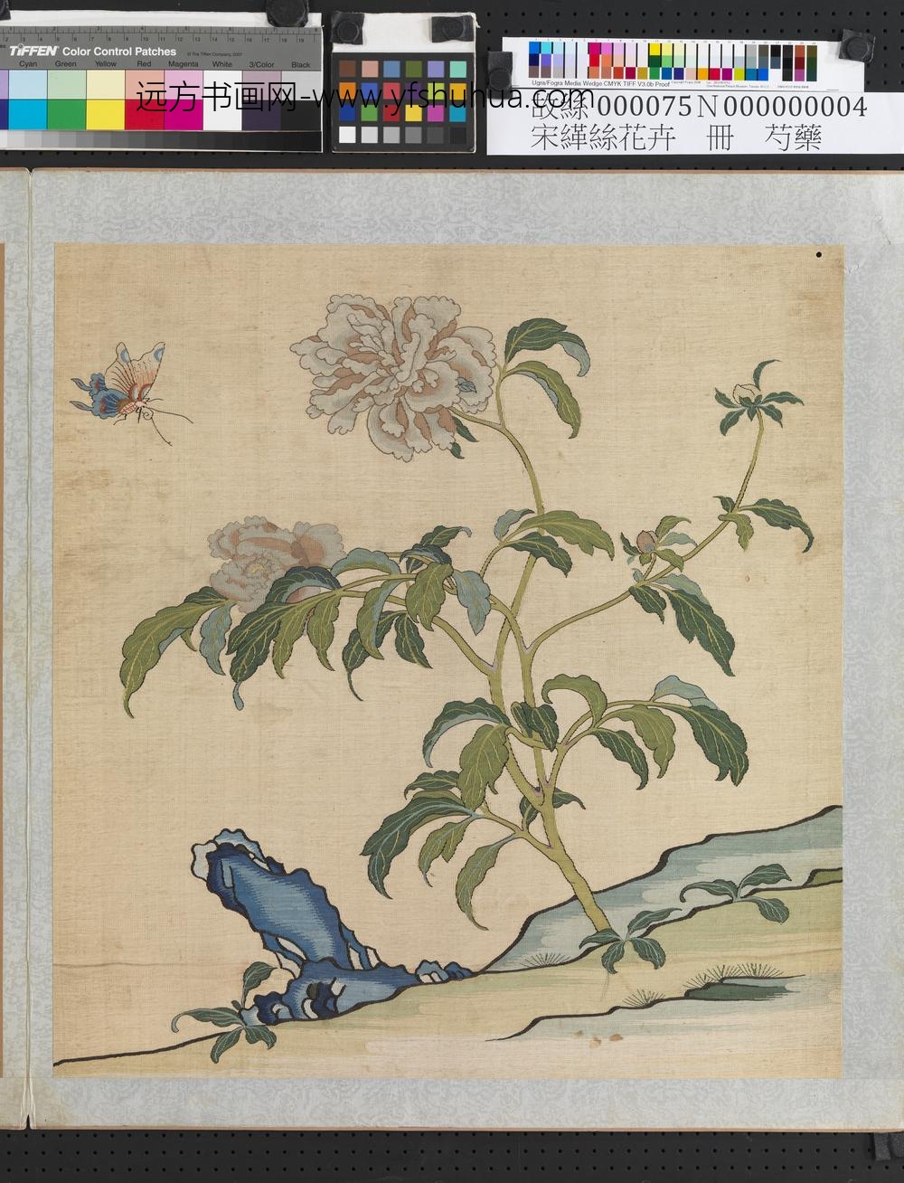 刻丝花卉册-芍药