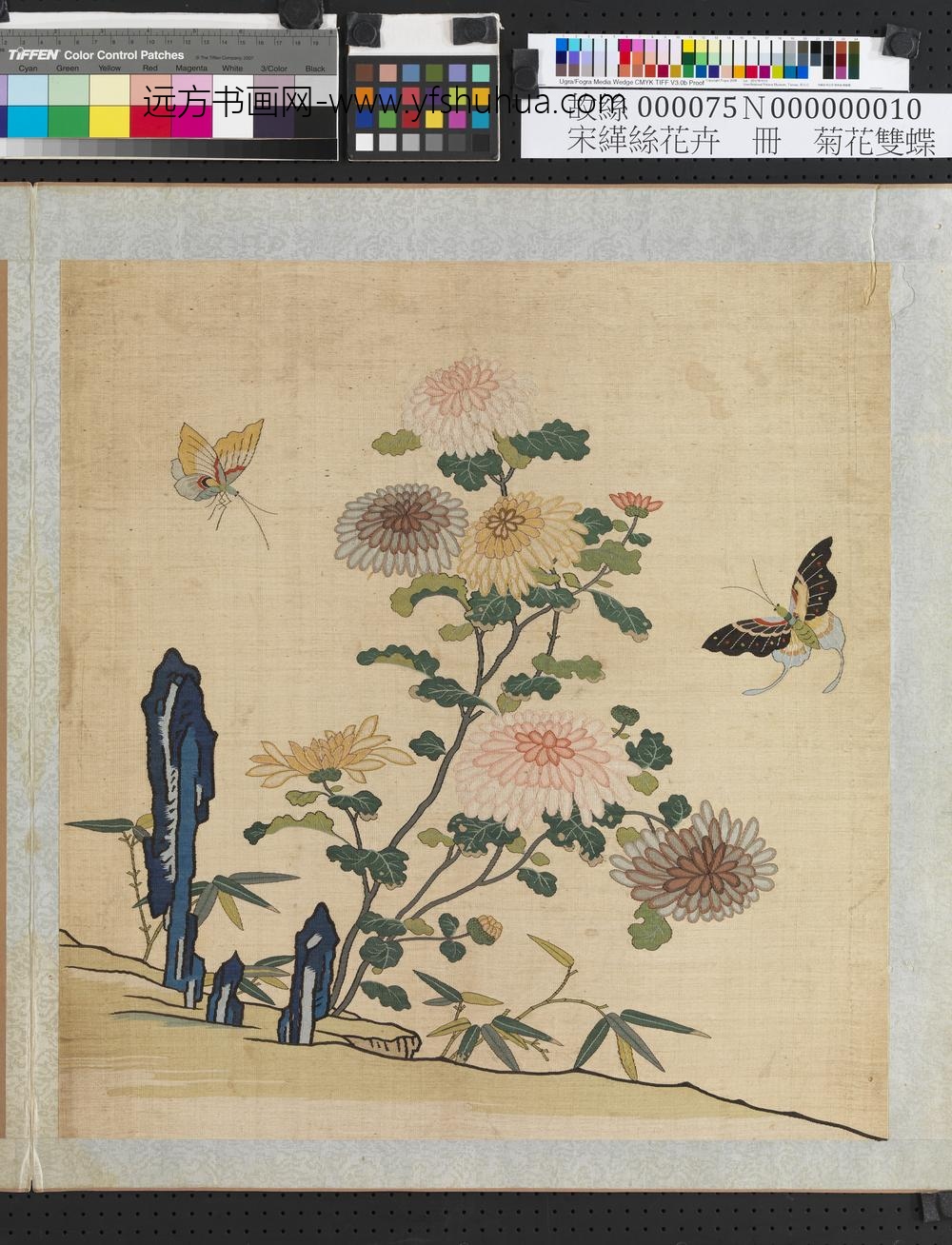 刻丝花卉册-菊花双蝶