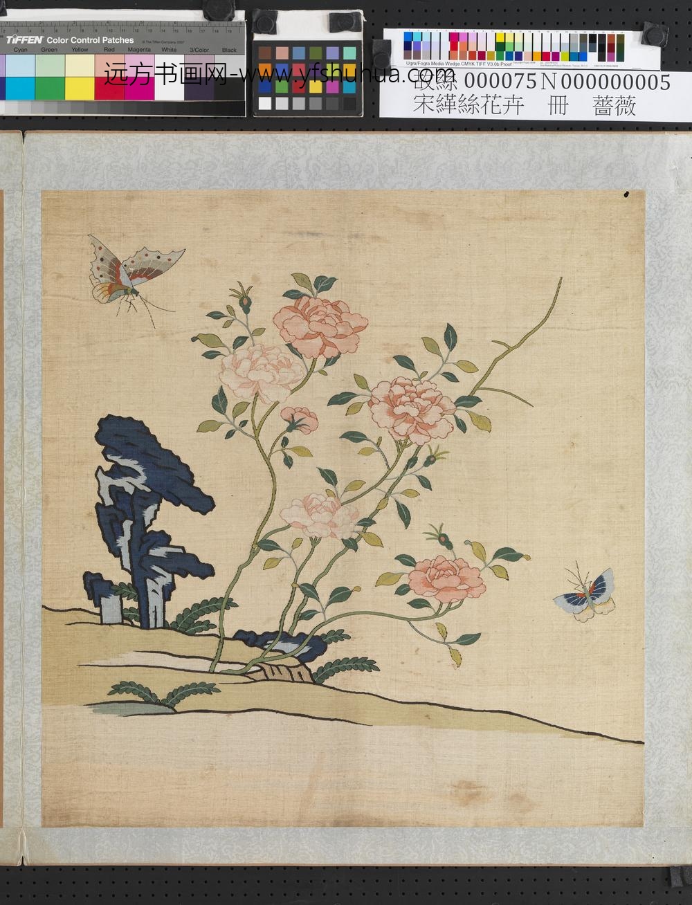 刻丝花卉册-蔷薇