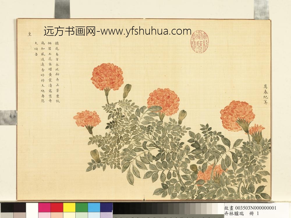 卉林胪瑞册-清人万春纪筭