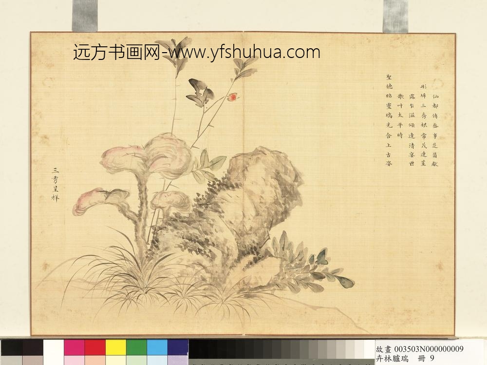 卉林胪瑞册-清人三秀呈祥