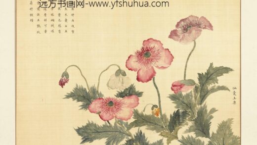 卉林胪瑞册 清人仙囊玉粟.jpg