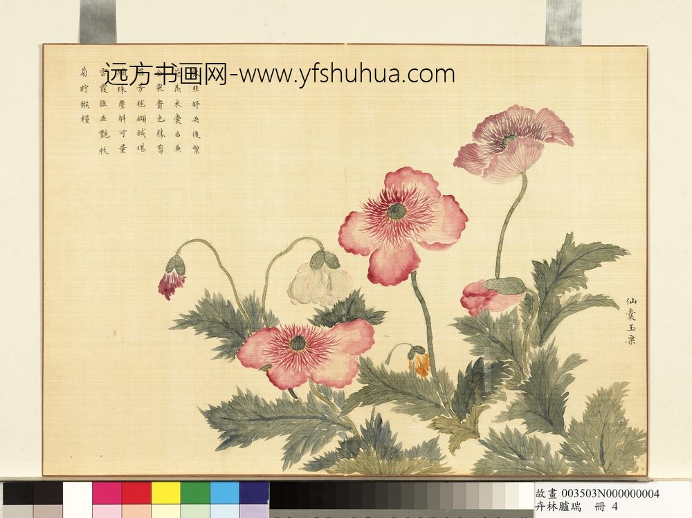 卉林胪瑞册-清人仙囊玉粟