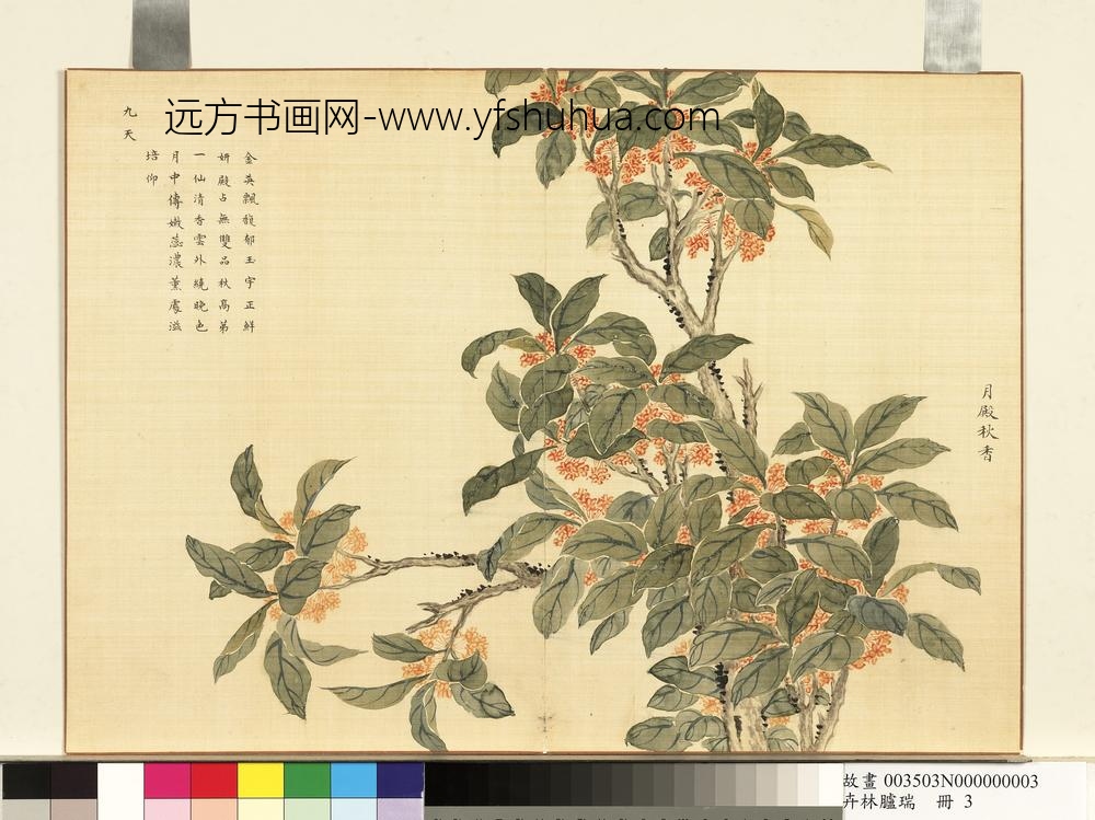 卉林胪瑞册-清人月殿秋香