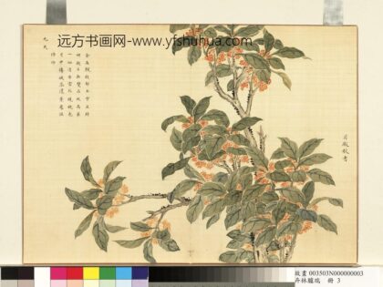 卉林胪瑞册 清人月殿秋香.jpg