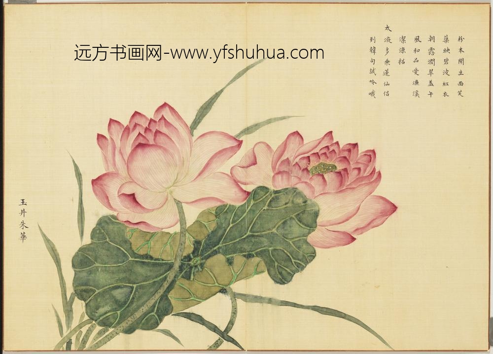 卉林胪瑞册-清人玉井朱华