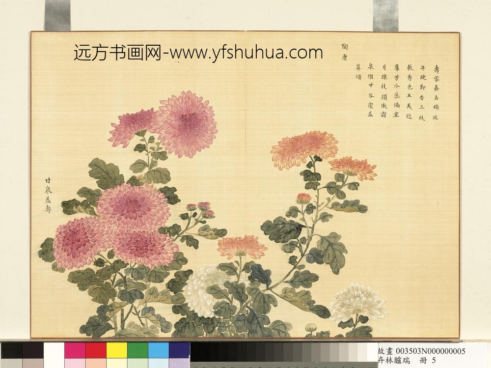 卉林胪瑞册-清人甘泉益寿