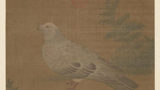 历代名绘册 □熙画鸽.jpg