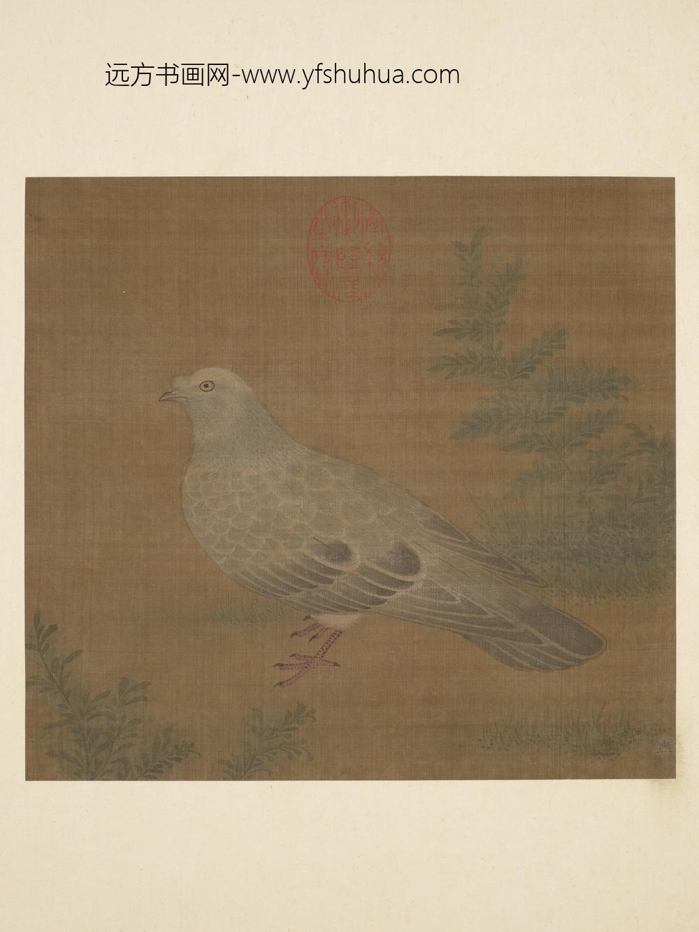 历代名绘册-□熙画鸽