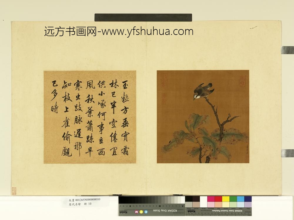 历代名绘册-宋赵令松花鸟