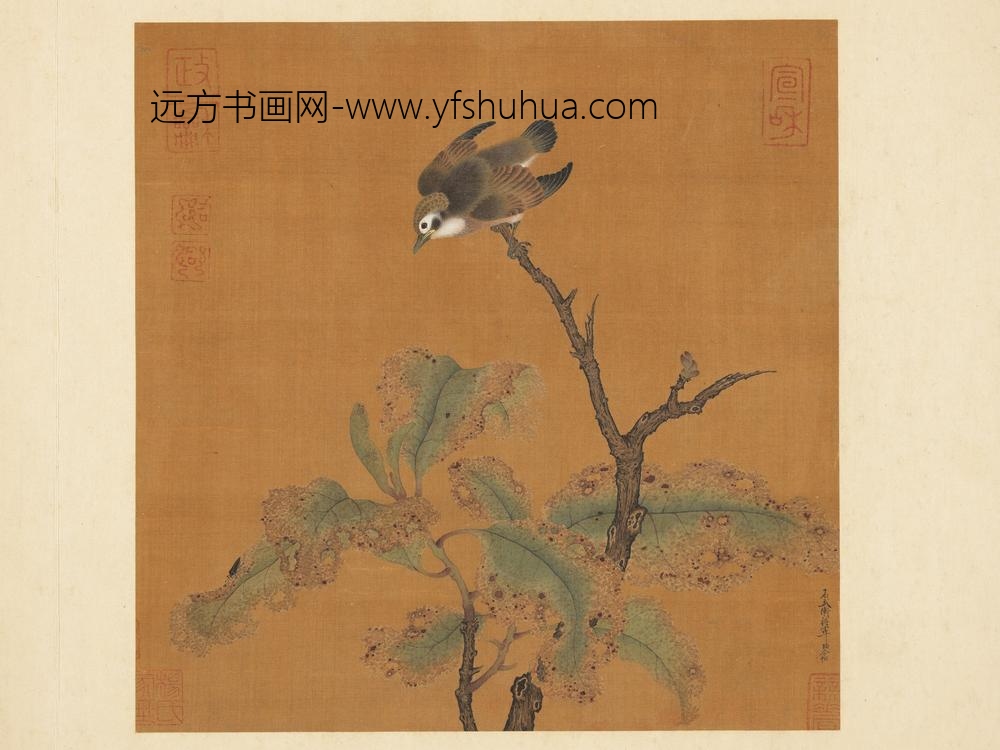 历代名绘册-宋赵令松花鸟