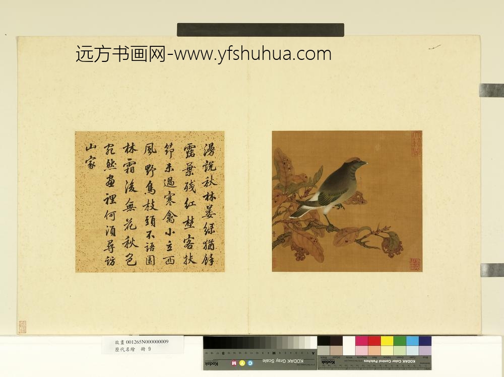 历代名绘册-宋赵昌花鸟