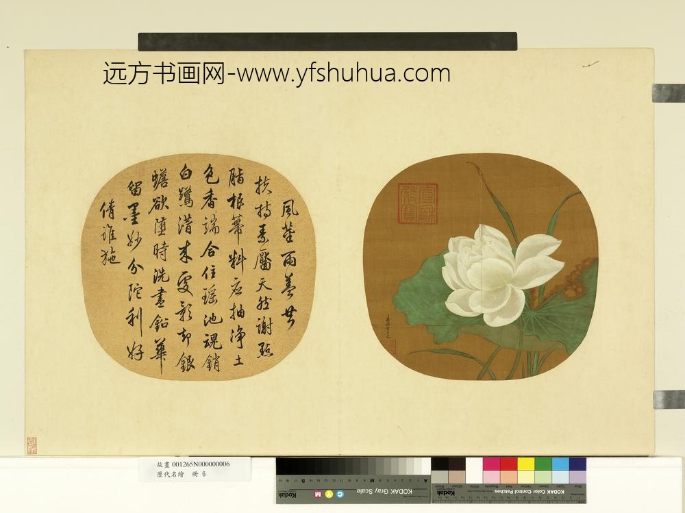 历代名绘册-宋黄居寀白莲