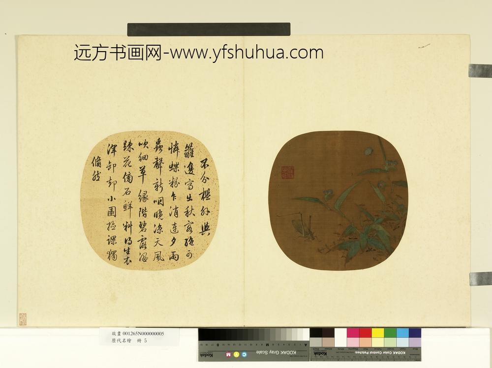 历代名绘册-宋黄居寀草虫