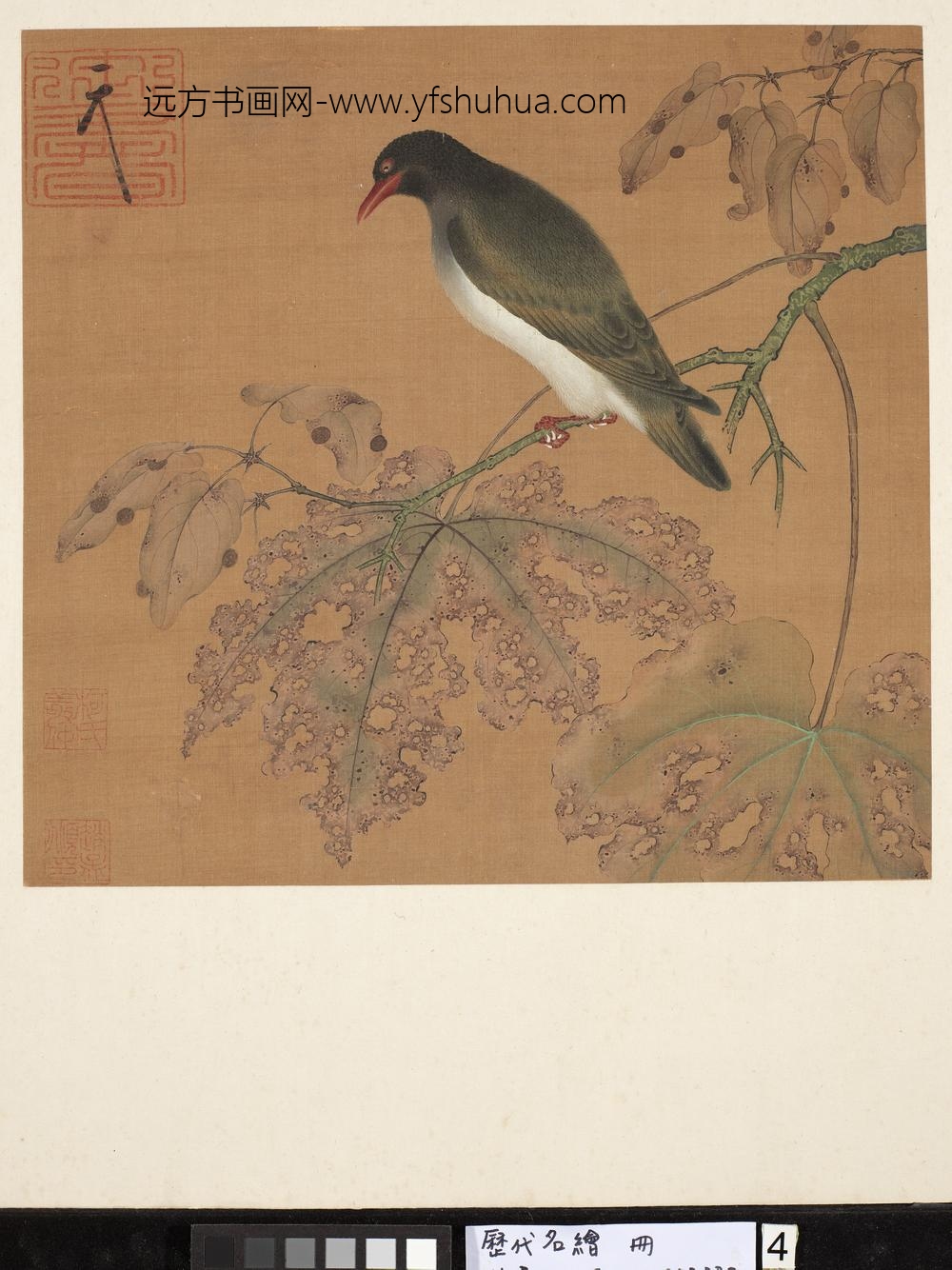 历代名绘册-无款花鸟