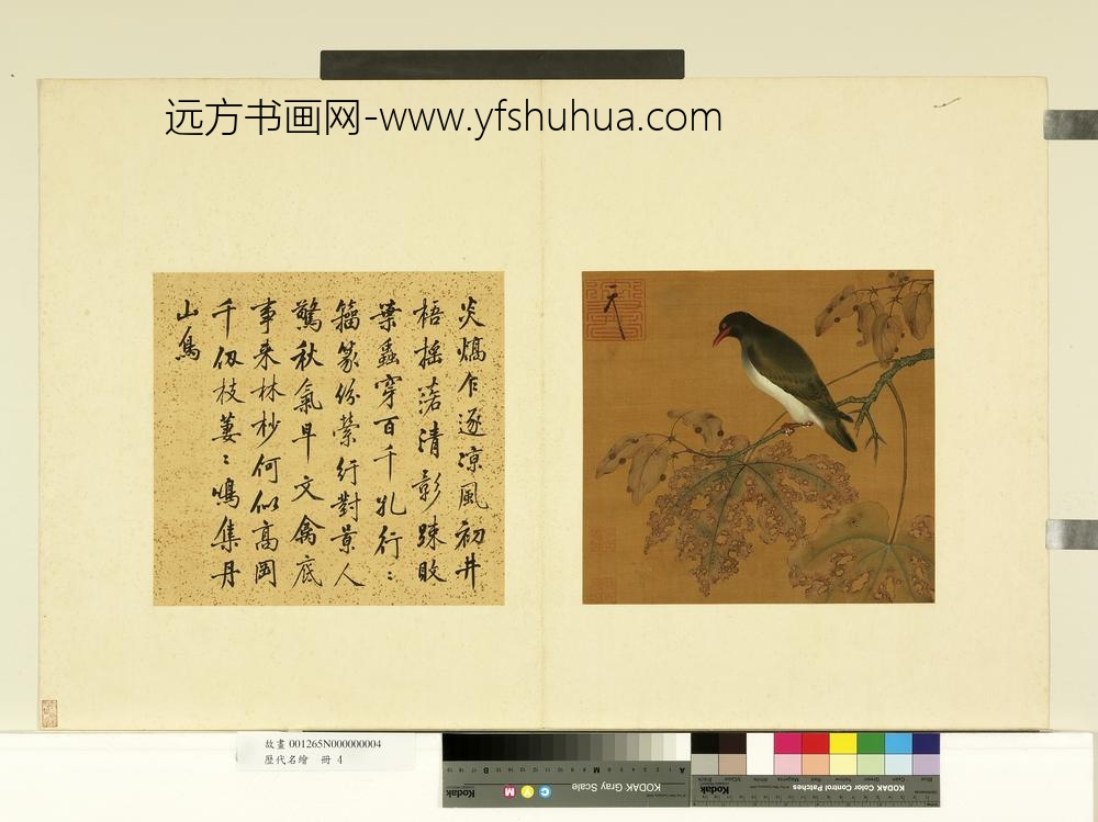 历代名绘册-无款花鸟