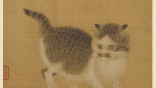 历代画幅集册 无款狸奴.jpg