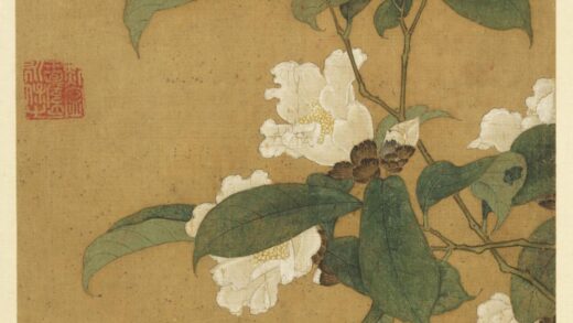 历代画幅集册 无款茶花.jpg