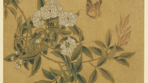 历代画幅集册册 无款花蝶.jpg