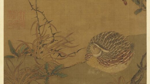 历代画幅集册册 无款鹌鹑.jpg