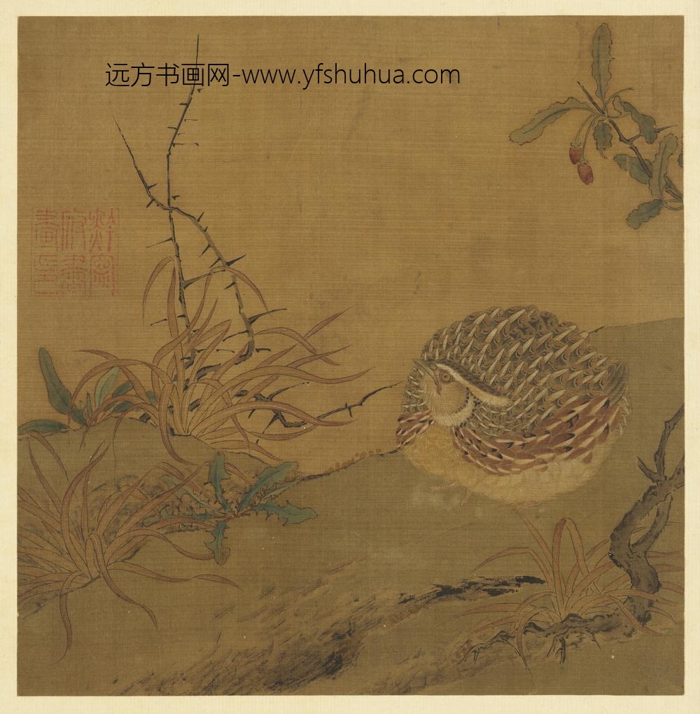 历代画幅集册册-无款鹌鹑