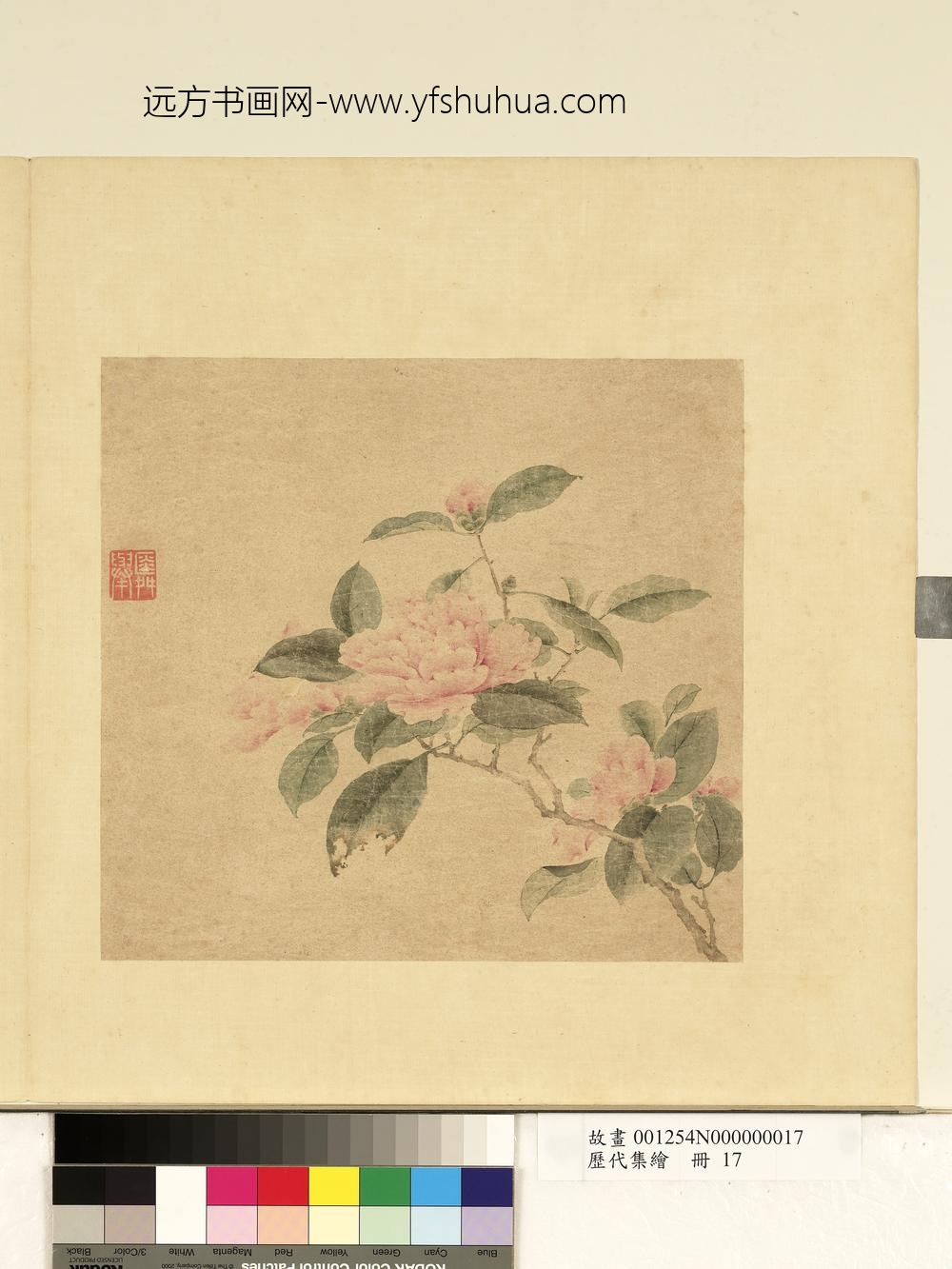 历代集绘册-宋钱选山茶