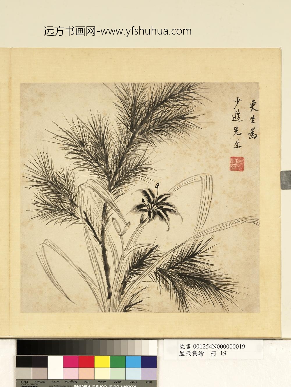 历代集绘册-更生松枝萱草