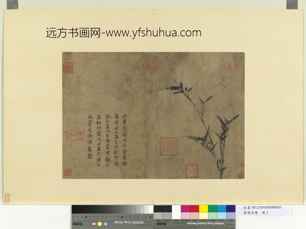 历朝名绘册-宋扬无咎画竹