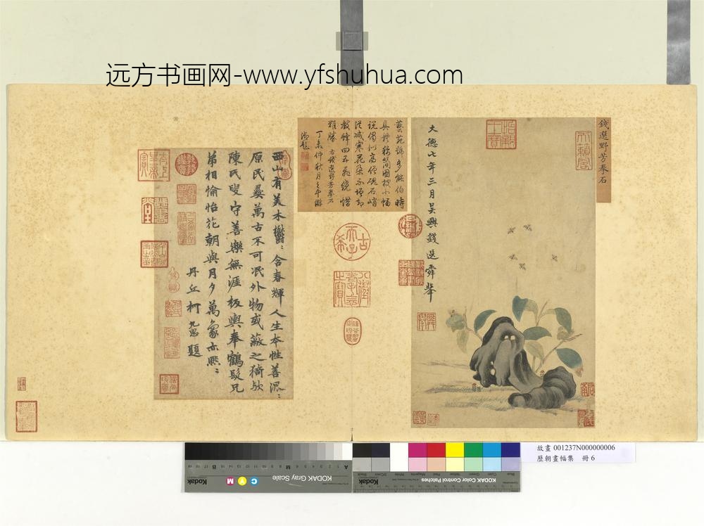 历朝画幅集册册-宋钱选野芳拳石