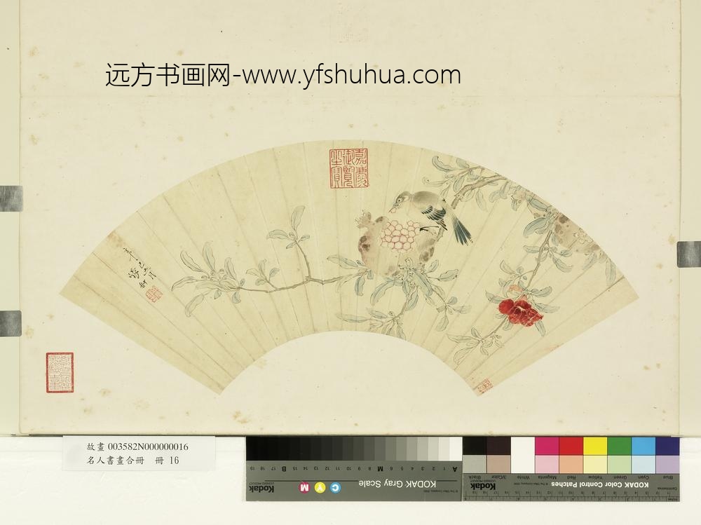 名人书画合册册-明张翀石榴山雀