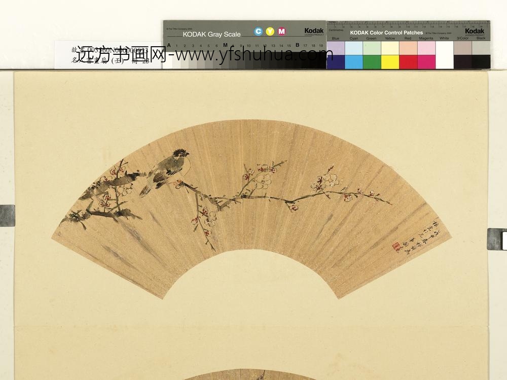 名人书画扇（壬）册清顾见龙画梅花鸲鹆-