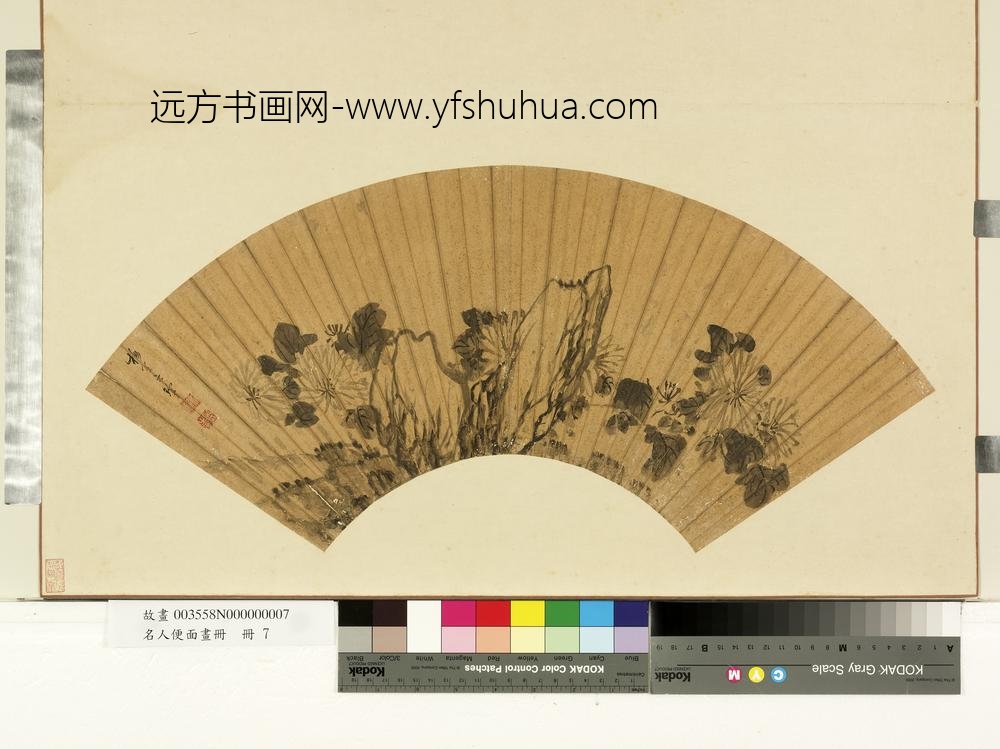 名人便面画册册-明吴之管菊石